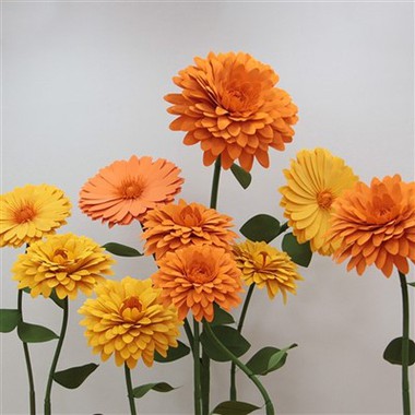 Vaahtokukkia marigold
